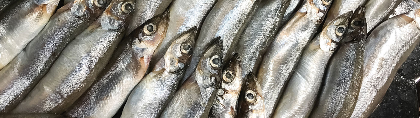 omega-3 acides gras